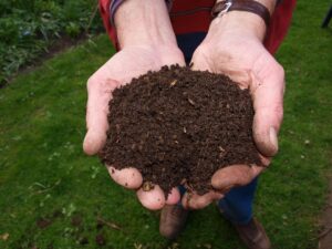 Read more about the article The Basics of Composting: A Complete Guide for Beginners