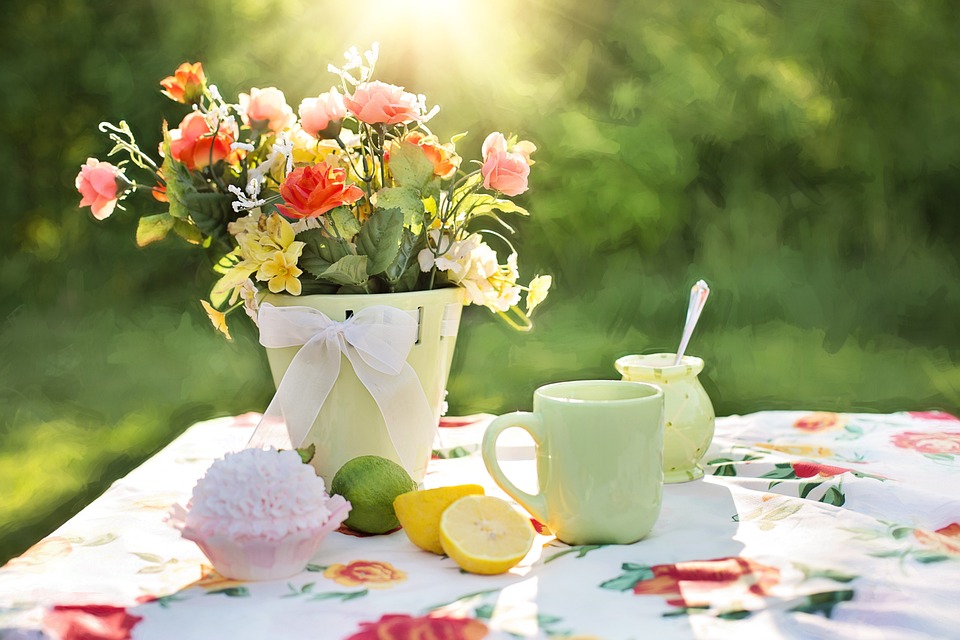 You are currently viewing Essential Tools for Beginning Gardeners