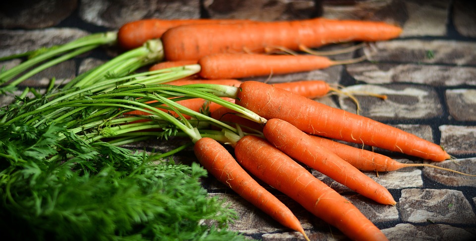 You are currently viewing How to Start a Vegetable Garden: A Beginner’s Guide